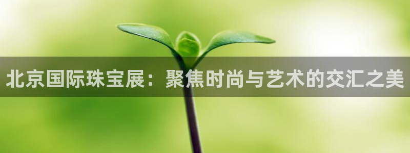新宝5如何注册登录：北京国际珠宝展：聚焦时尚与艺术的交汇之美