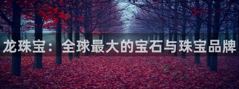 新宝5链接：龙珠宝：全球最大的宝石与珠宝品牌