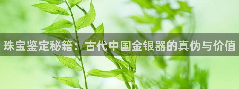 新宝xb5：珠宝鉴定秘籍：古代中国金银器的真伪与价值
