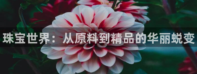 新宝5注册首页：珠宝世界：从原料到精品的华丽蜕变