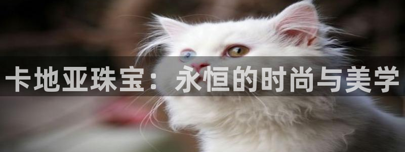 新宝5官网67五壹叁八：卡地亚珠宝：永恒的时尚与美学