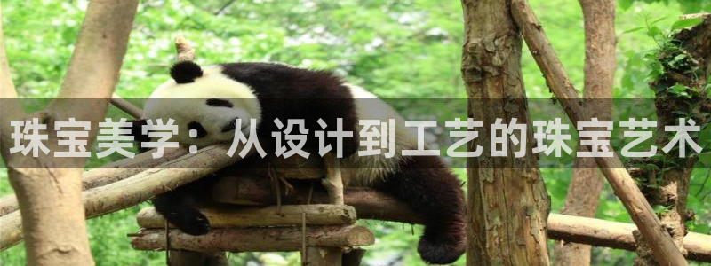 新宝5娱乐注：珠宝美学：从设计到工艺的珠宝艺术