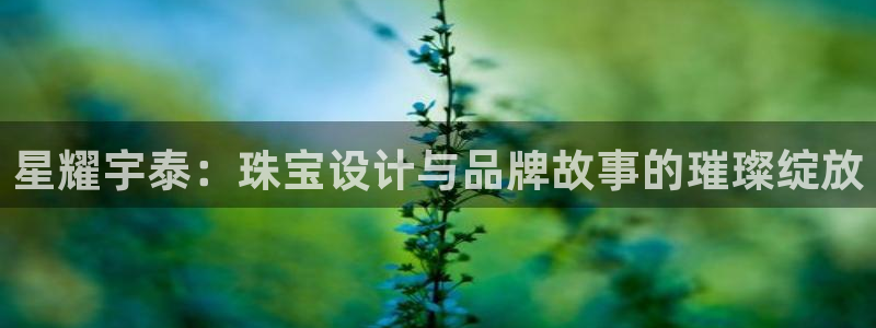 新宝5娱乐招商：星耀宇泰：珠宝设计与品牌故事的璀璨绽放