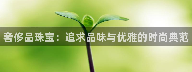 新宝5下载软件：奢侈品珠宝：追求品味与优雅的时尚典范