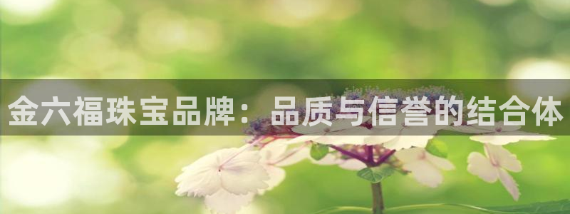 新宝5测速下载：金六福珠宝品牌：品质与信誉的结合体