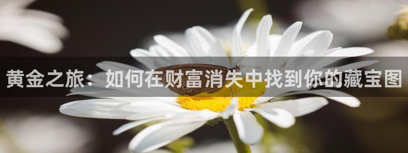 新宝5app手机下载：黄金之旅：如何在财富消失中找到你的藏宝图