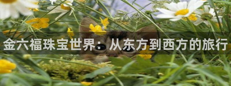 新宝5地址：金六福珠宝世界：从东方到西方的旅行