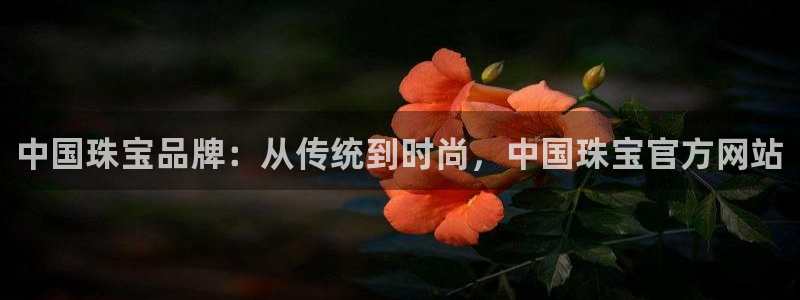 新宝5测速线路：中国珠宝品牌：从传统到时尚，中国珠宝官方网站