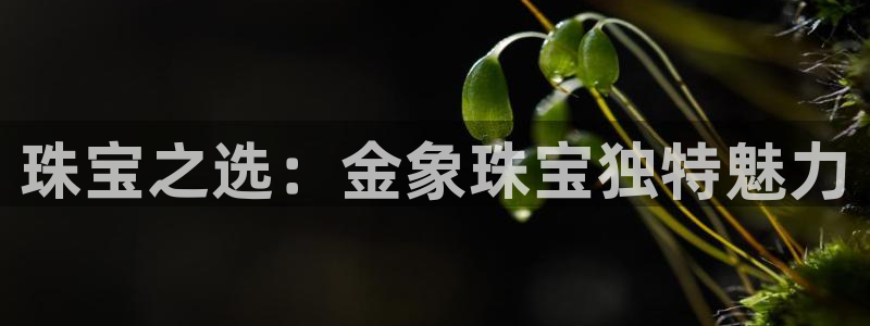 新宝G5：珠宝之选：金象珠宝独特魅力