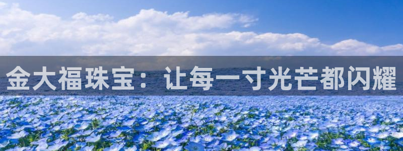 新宝5账号注册：金大福珠宝：让每一寸光芒都闪耀