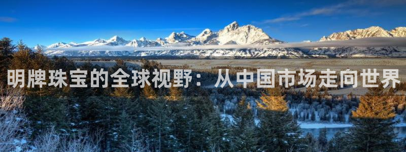 新宝5登录入口网址：明牌珠宝的全球视野：从中国市场走向世界