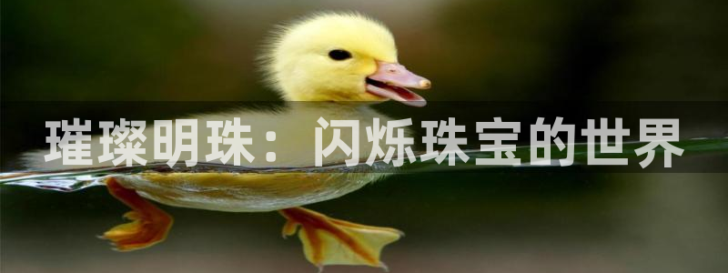 新宝5策略：璀璨明珠：闪烁珠宝的世界
