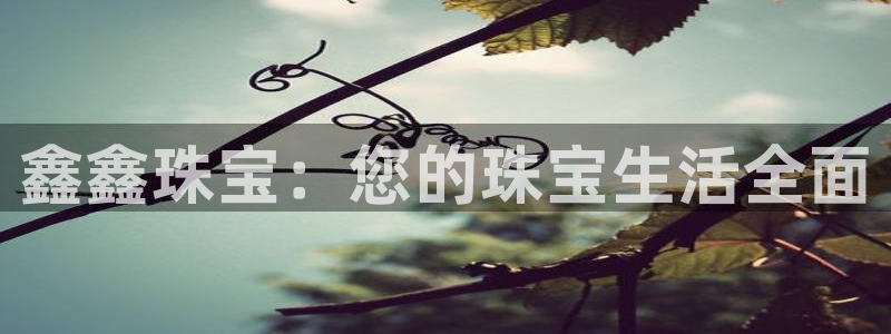 新宝5黑彩：鑫鑫珠宝：您的珠宝生活全面