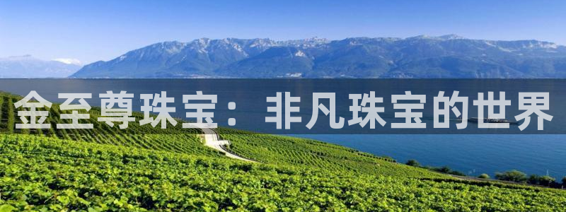 新宝5X：金至尊珠宝：非凡珠宝的世界