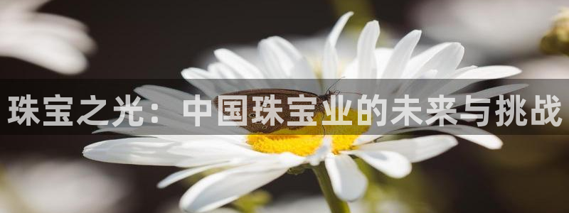 新宝5娱乐同：珠宝之光：中国珠宝业的未来与挑战