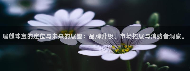 新宝5下载注册：瑞麒珠宝的定位与未来的展望：品牌升级、市场拓展与消费者洞察。