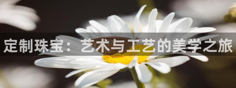 新宝5郑74OOO5：定制珠宝：艺术与工艺的美学之旅
