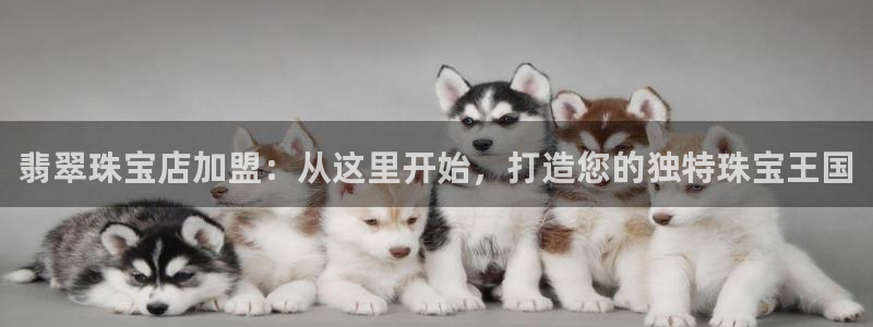新宝5官方登录入口：翡翠珠宝店加盟：从这里开始，打造您的独特珠宝王国
