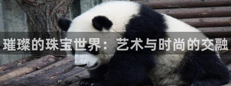 新宝5测试：璀璨的珠宝世界：艺术与时尚的交融