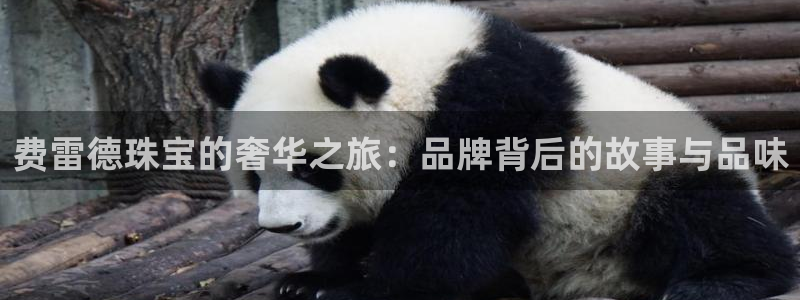 新宝5登录界面：费雷德珠宝的奢华之旅：品牌背后的故事与品味