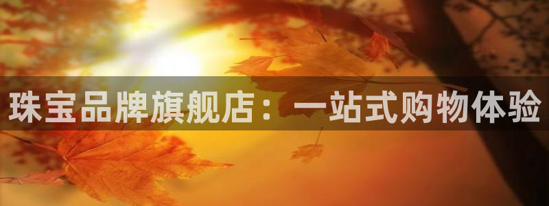 新宝5郑74OOO5：珠宝品牌旗舰店：一站式购物体验