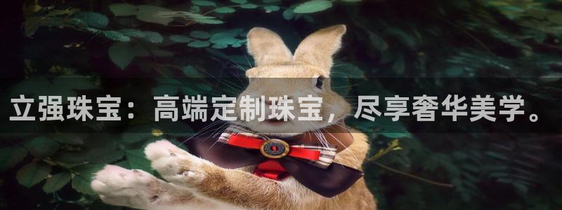新宝h2O5O5O：立强珠宝：高端定制珠宝，尽享奢华美学。