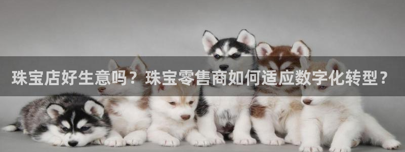 新宝5娱乐登陆：珠宝店好生意吗？珠宝零售商如何适应数字化转型？