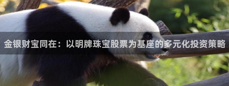 新宝5郑74OOO5：金银财宝同在：以明牌珠宝股票为基座的多元化投资策略