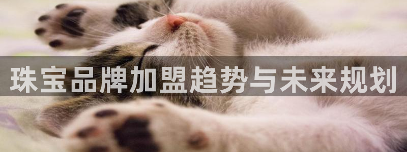 新宝5账号注册：珠宝品牌加盟趋势与未来规划