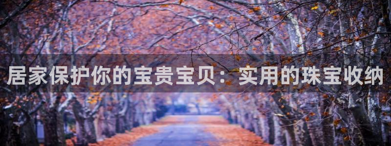 新宝5app手机下载：居家保护你的宝贵宝贝：实用的珠宝收纳