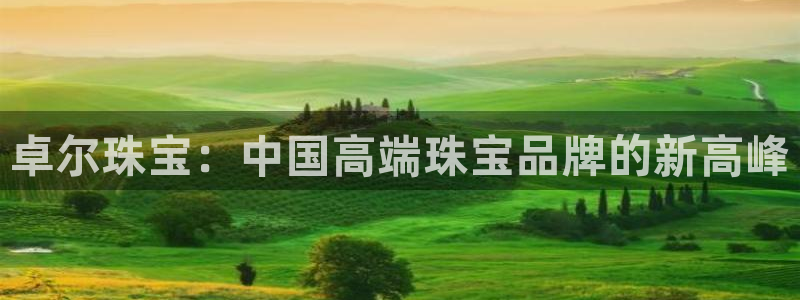 新宝h2O5O5O：卓尔珠宝：中国高端珠宝品牌的新高峰