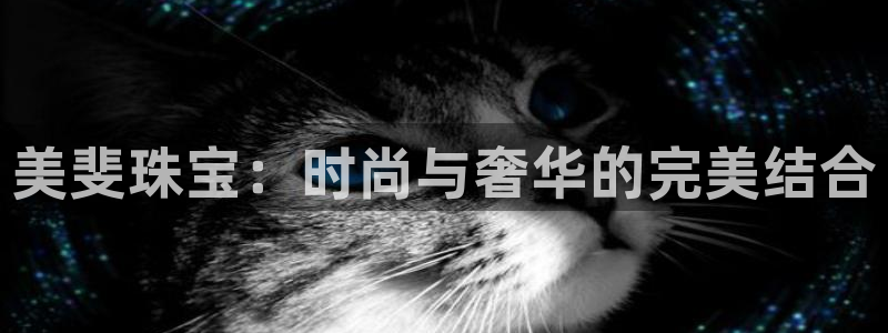 新宝5招商：美斐珠宝：时尚与奢华的完美结合