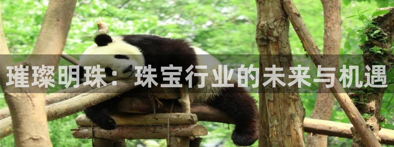 新宝5登陆地址：璀璨明珠：珠宝行业的未来与机遇