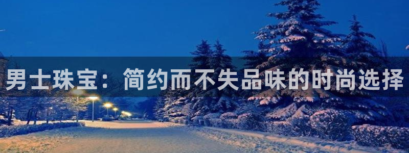 新宝5飞355051：男士珠宝：简约而不失品味的时尚选择