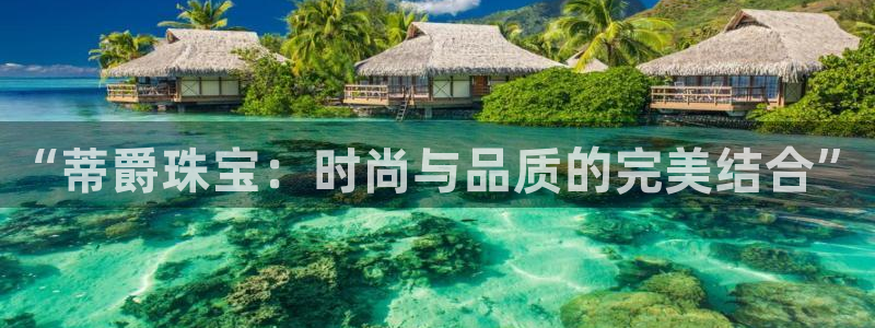 新宝5平台注册：“蒂爵珠宝：时尚与品质的完美结合”