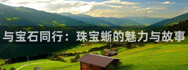 新宝5可靠吗：与宝石同行：珠宝蜥的魅力与故事