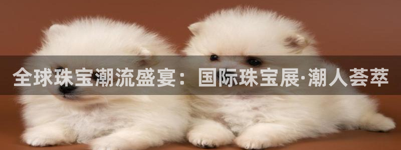 老新宝5授权登录：全球珠宝潮流盛宴：国际珠宝展·潮人荟萃