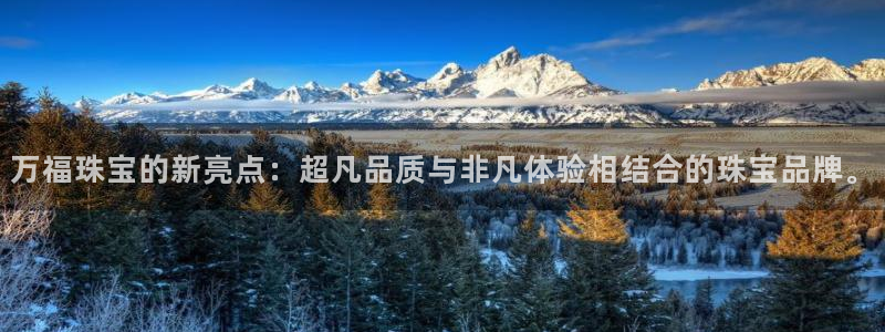 新宝5官方网站：万福珠宝的新亮点：超凡品质与非凡体验相结合的珠宝品牌。