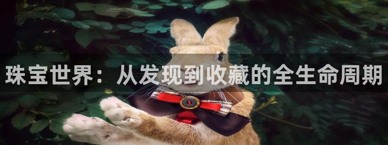 新宝5寂创33300散：珠宝世界：从发现到收藏的全生命周期
