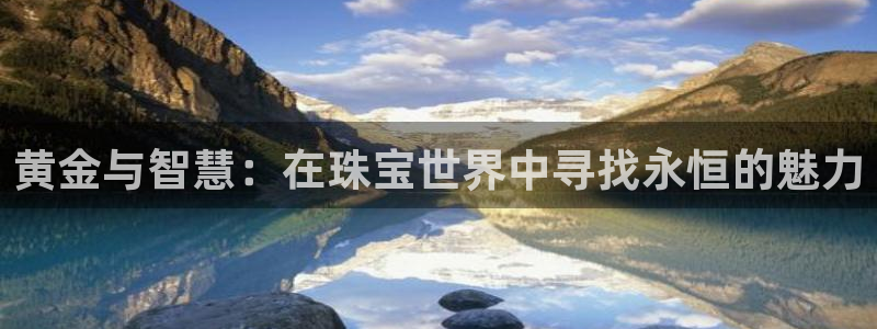 新宝5平台注册：黄金与智慧：在珠宝世界中寻找永恒的魅力