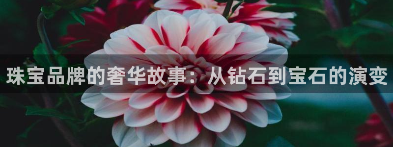 新宝5官网67五壹叁八：珠宝品牌的奢华故事：从钻石到宝石的演变