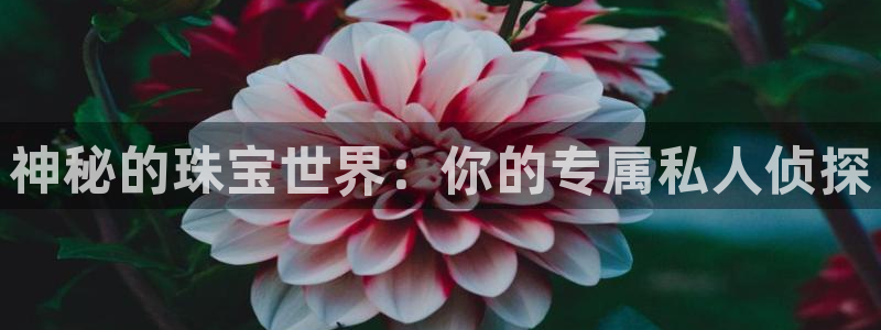 新宝5黑：神秘的珠宝世界：你的专属私人侦探