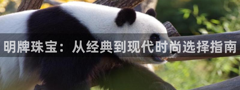 新宝5什么时候上市：明牌珠宝：从经典到现代时尚选择指南