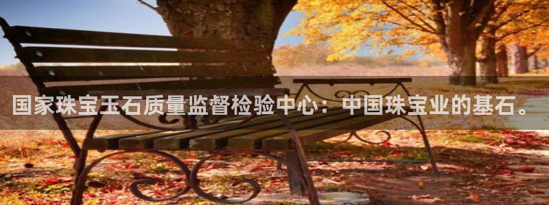 新宝5口67五壹叁八：国家珠宝玉石质量监督检验中心：中国珠宝业的基石。