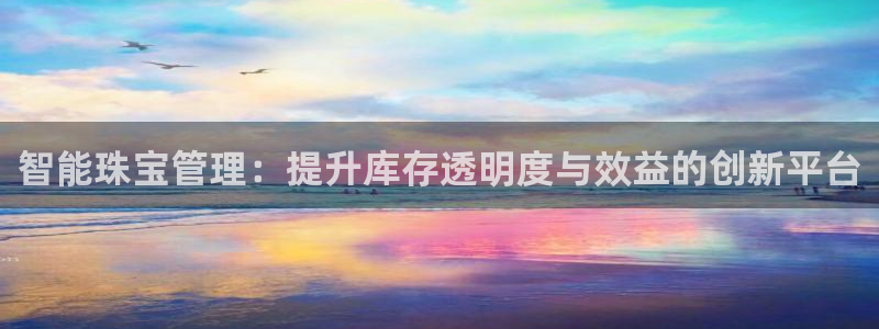 新宝5X：智能珠宝管理：提升库存透明度与效益的创新平台