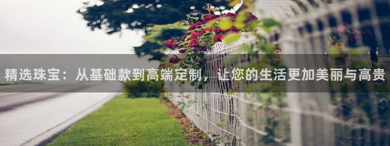 新宝5褚74OOO5：精选珠宝：从基础款到高端定制，让您的生活更加美丽与高贵