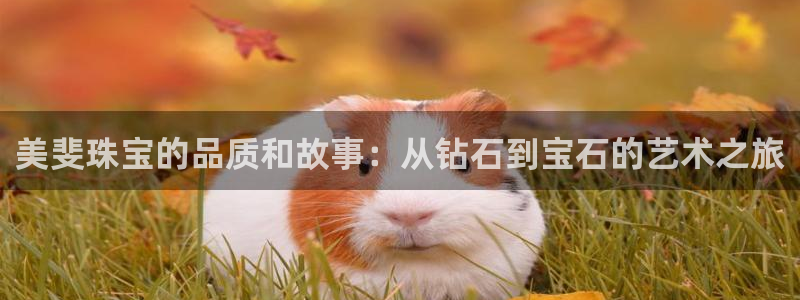 新宝股东瞧听2 5 5：美斐珠宝的品质和故事：从钻石到宝石的艺术之旅