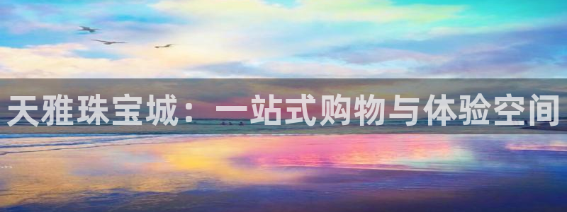 新宝5源码：天雅珠宝城：一站式购物与体验空间