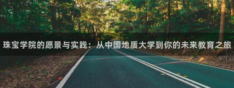 新宝 5测速：珠宝学院的愿景与实践：从中国地质大学到你的未来教育之旅