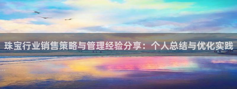 新宝5是什么样子的：珠宝行业销售策略与管理经验分享：个人总结与优化实践
